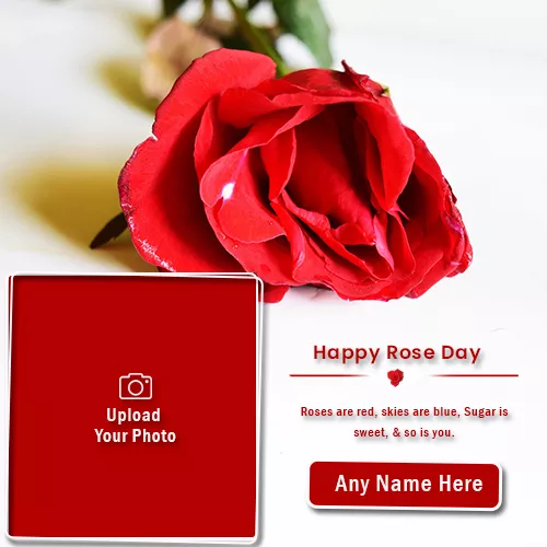 Create Name On Rose Image With I Love You Photo Frame